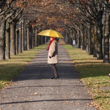 Paragraaf afbeelding