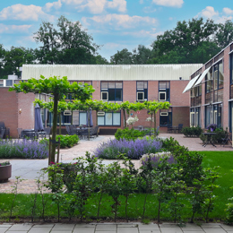 Sparrenheuvel